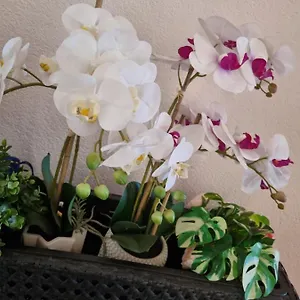 Orchidea Apartment Monfalcone